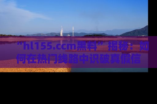 “hl155.ccm黑料”揭秘:如何在热门线路中识破真假信息