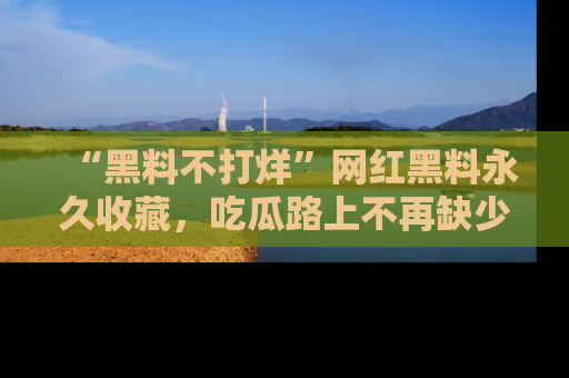 “黑料不打烊”网红黑料永久收藏,吃瓜路上不再缺少惊喜与乐趣