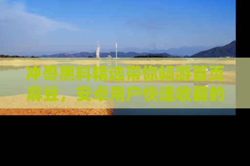 冲哥黑料精选带你畅游首页麻豆，安卓用户快速收藏的秘密武器！