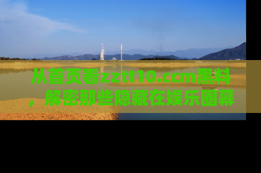 从首页看zztt10.ccm黑料，解密那些隐藏在娱乐圈幕后的丑闻故事！