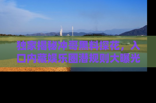 独家揭秘冲哥黑料探花，入口内藏娱乐圈潜规则大曝光