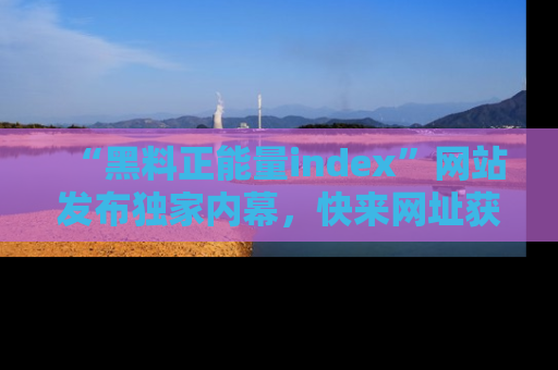 “黑料正能量index”网站发布独家内幕,快来网址获取精彩内容吧!