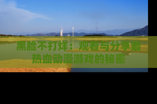 黑脸不打烊：观看与分享最热血动漫游戏的秘密