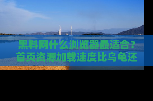 黑料网什么浏览器最适合？首页资源加载速度比乌龟还慢的体验真心吐槽！