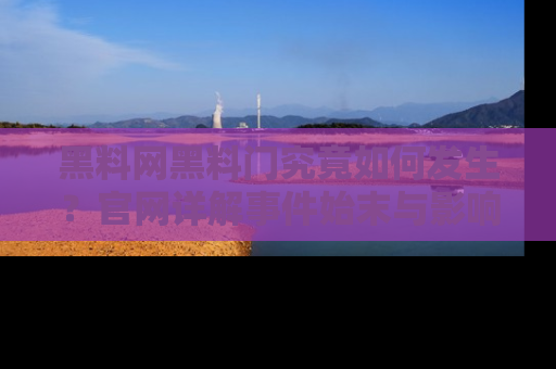 黑料网黑料门究竟如何发生？官网详解事件始末与影响