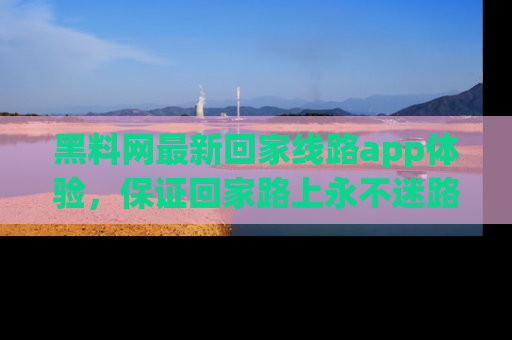 黑料网最新回家线路app体验，保证回家路上永不迷路顺畅