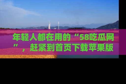 年轻人都在用的“58吃瓜网”,赶紧到首页下载苹果版吧!