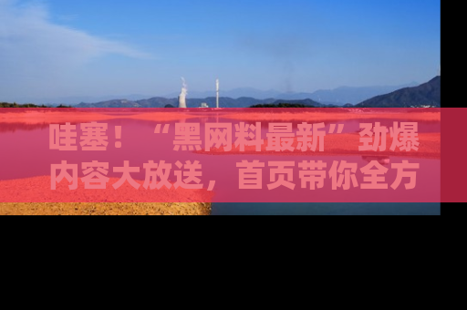哇塞!“黑网料最新”劲爆内容大放送,首页带你全方位了解哦,小可爱们