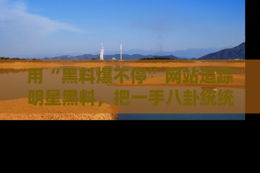 用“黑料爆不停”网站追踪明星黑料，把一手八卦统统收进你的后宫中！