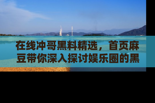 在线冲哥黑料精选，首页麻豆带你深入探讨娱乐圈的黑暗面