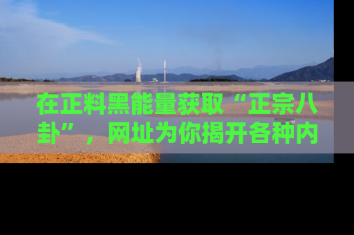 在正料黑能量获取“正宗八卦”,网址为你揭开各种内幕故事!