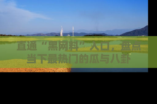 直通“黑网料”入口,盘点当下最热门的瓜与八卦