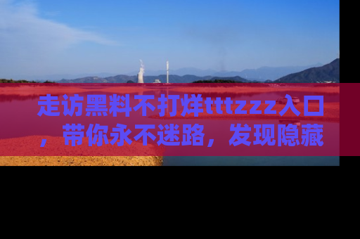 走访黑料不打烊tttzzz入口,带你永不迷路,发现隐藏的黑幕