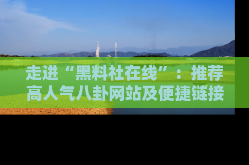 走进“黑料社在线”:推荐高人气八卦网站及便捷链接的全面指南
